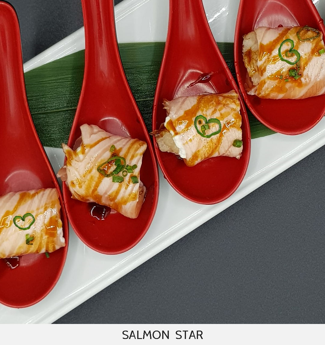 HOMU_SALMON_STAR