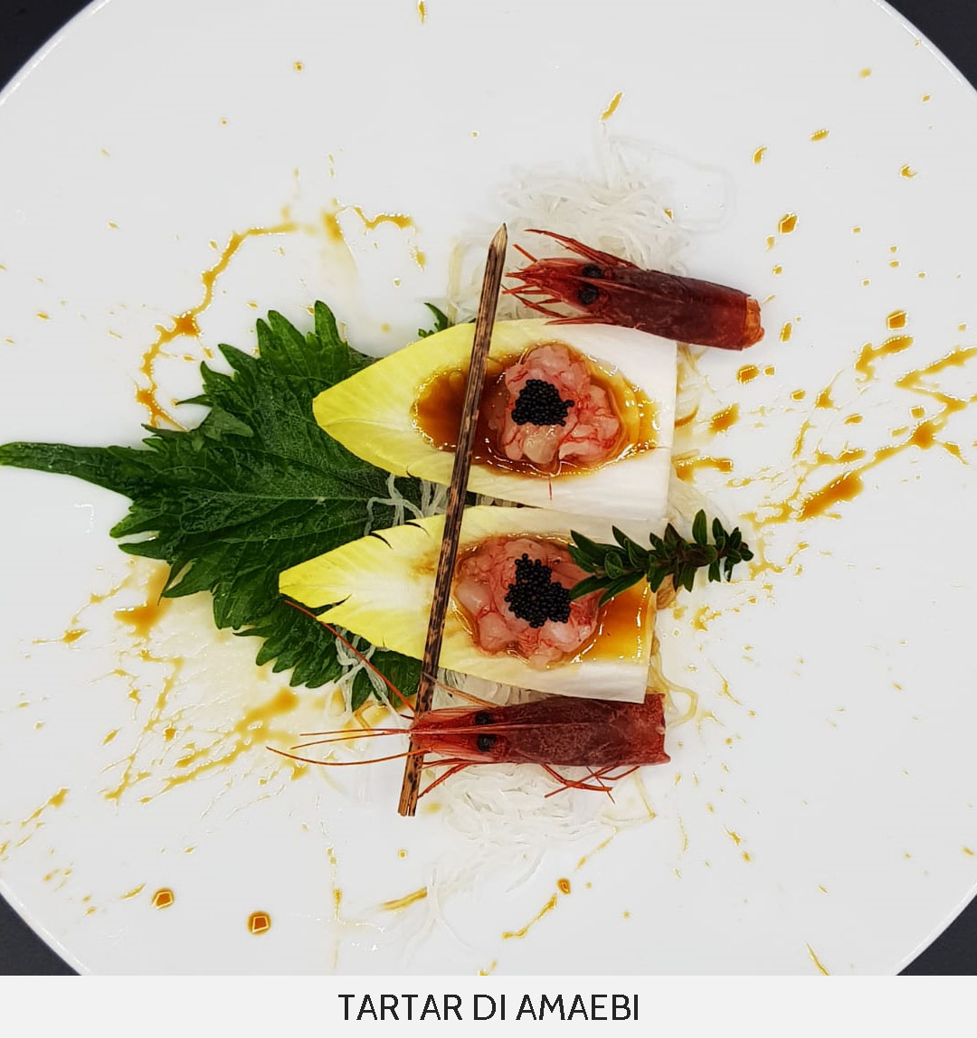 HOMU_TARTARDI AMAEBI
