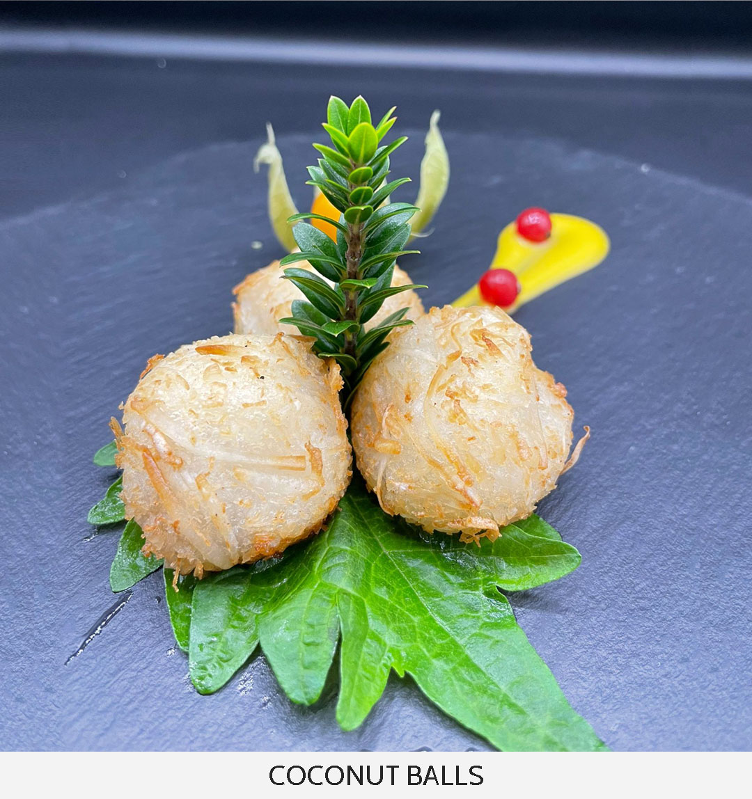 HOMU_COCONUT_BALLS