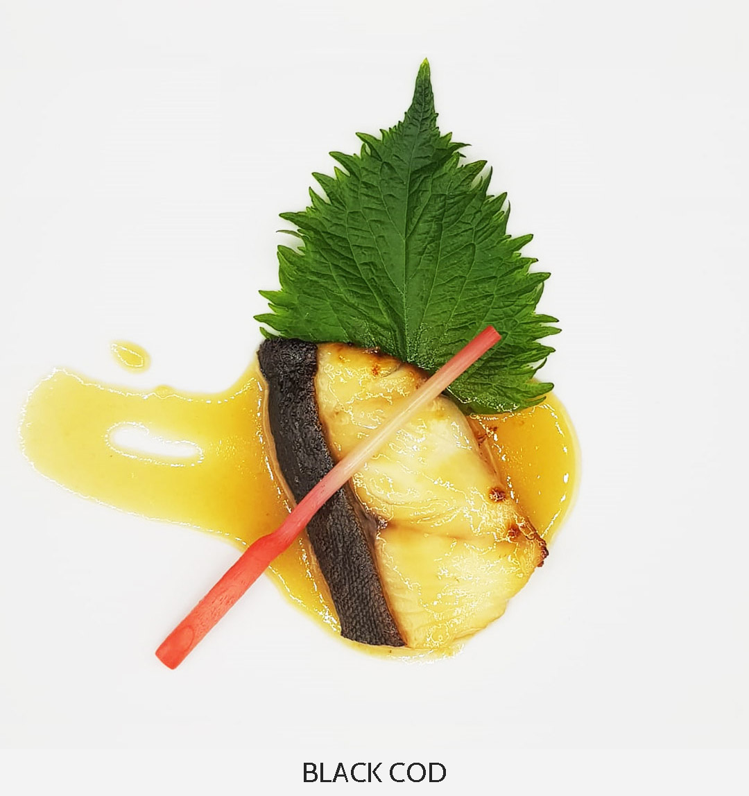 HOMU_BLACK_COD_FILETTO
